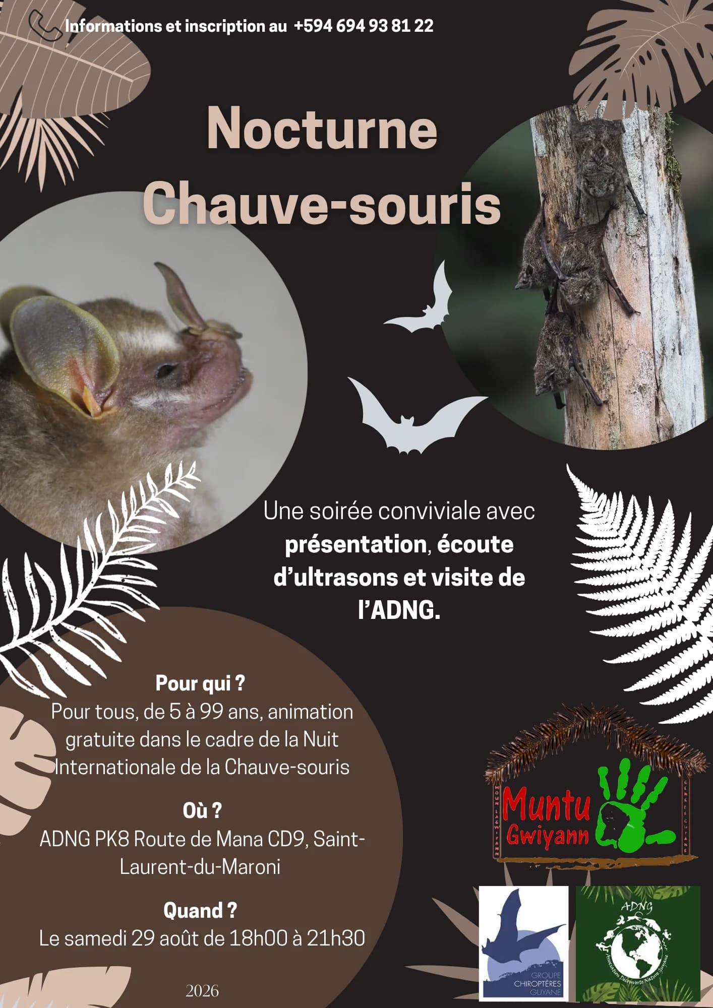 Nuit Internationale de la Chauve-souris